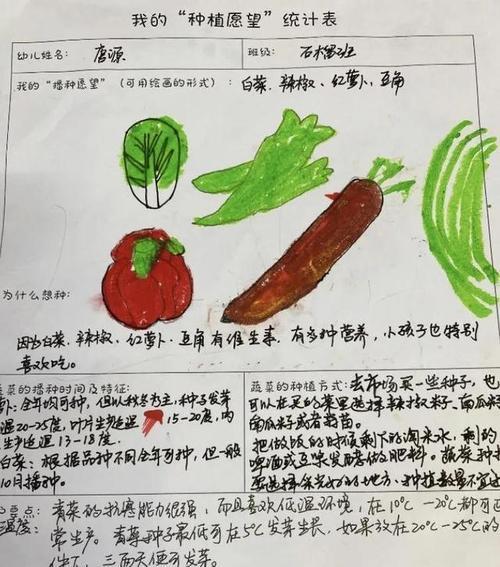 大疣朱紫玉如何配土？种植土壤选择有哪些常见问题？