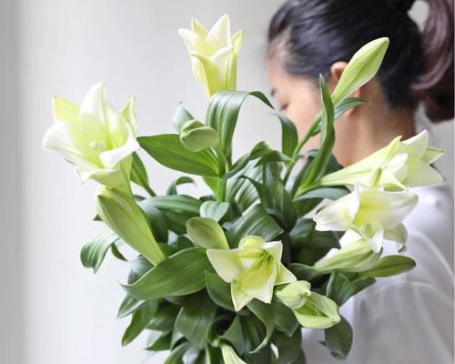 白百合花象征什么？送白百合花的含义是什么？