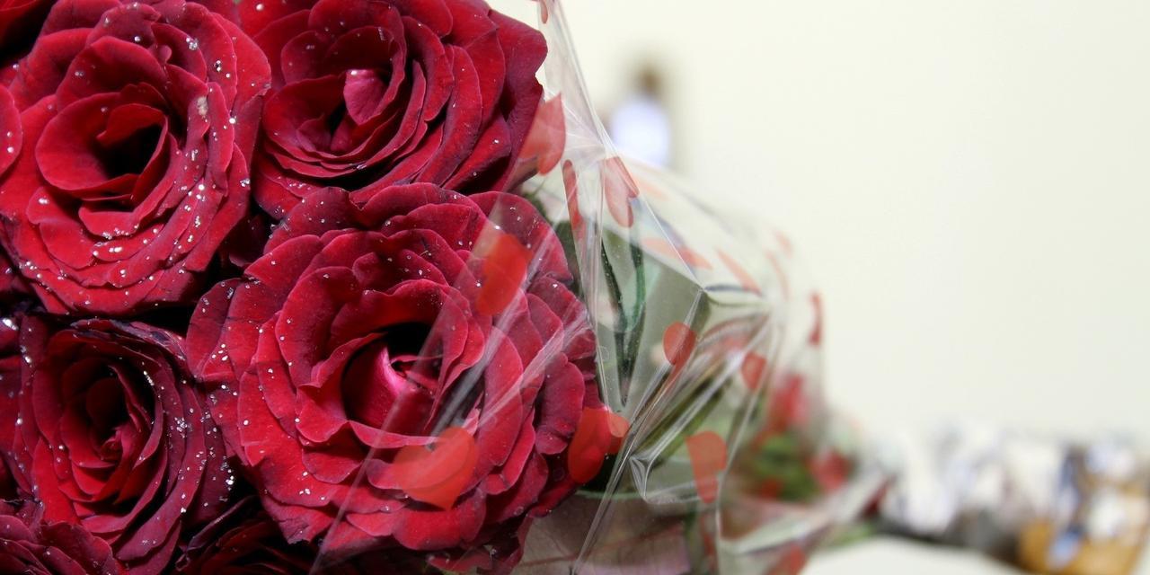 送玫瑰花代表什么含义？不同数量的玫瑰花有何不同含义？