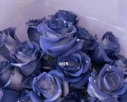 碎冰蓝玫瑰代表什么？花语和寓意有哪些常见问题解答？