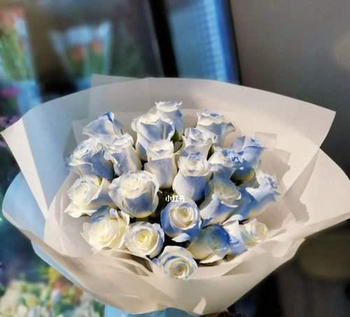 碎冰蓝玫瑰代表什么含义？花语解读与送花建议？
