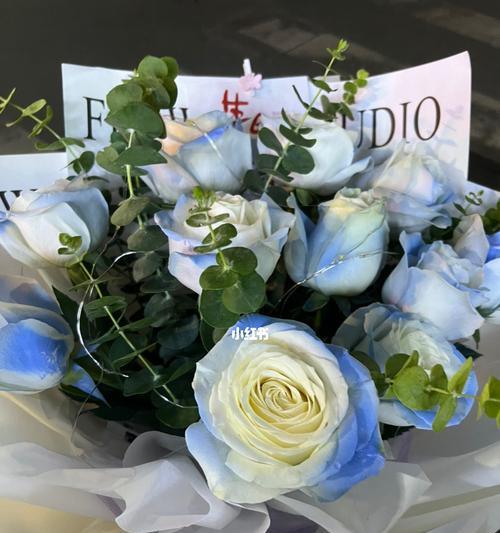 碎冰蓝玫瑰代表什么含义？花语解读与送花建议？