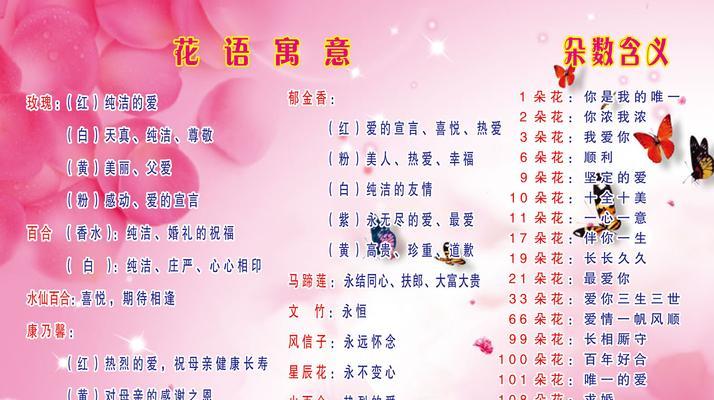 太阳花代表什么？太阳花的花语和寓意有哪些？