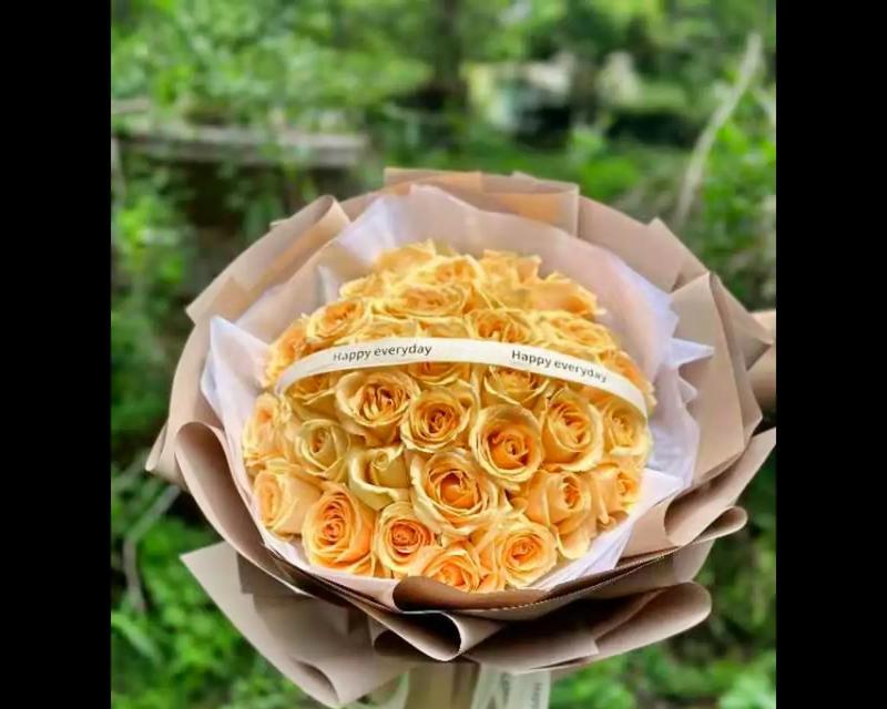 176朵玫瑰花的含义是什么？图片大全能否展示？