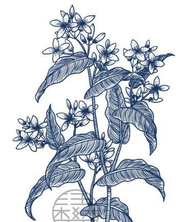 植物版画怎么刻？需要哪些工具和材料？