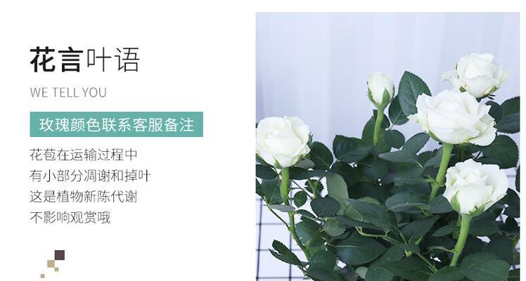 对象给你备注为玫瑰花是什么意思？它在关系中代表了什么？