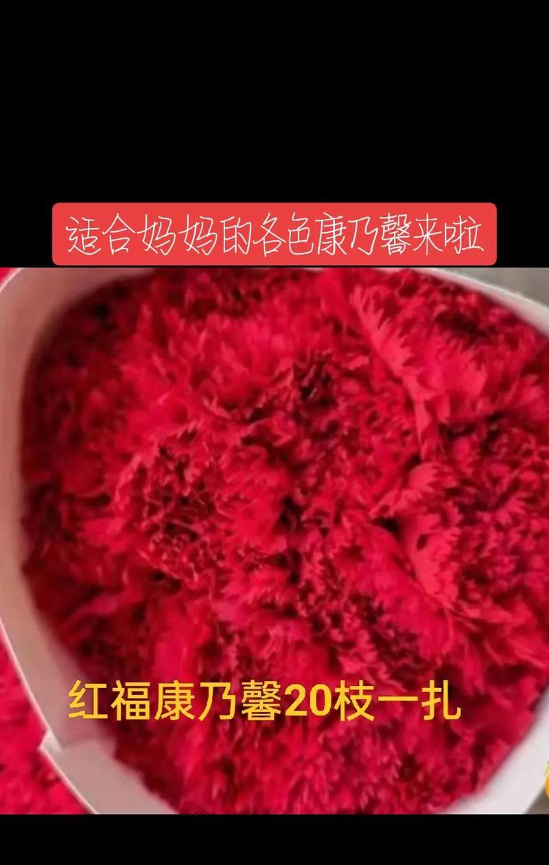 康乃馨作为礼物给医生有何深意？