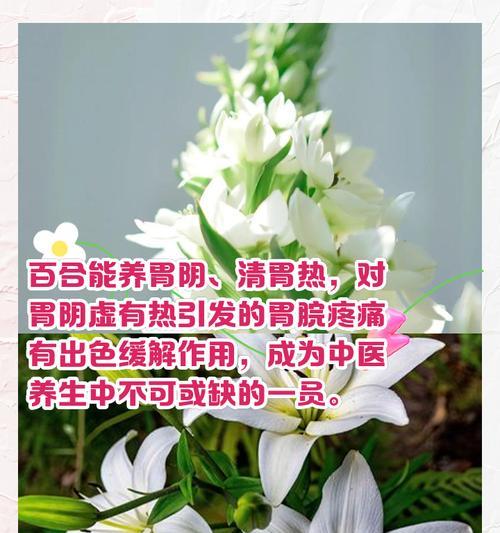 百合足道在网络用语中是什么意思？它代表了什么？