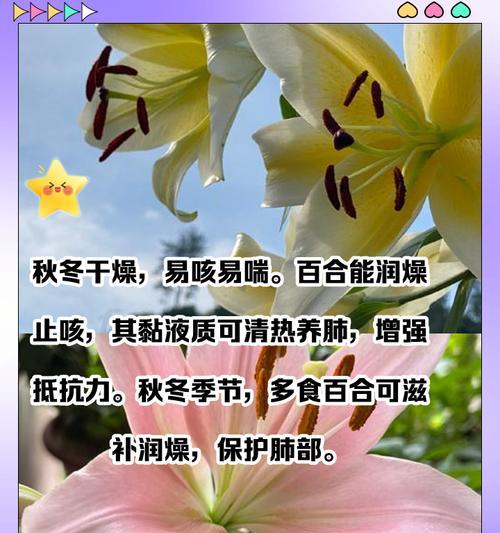 百合含珠是什么意思啊网络用语？网络上百合含珠的含义是什么？