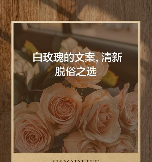 凋零的白玫瑰传达了哪些花语和寓意？