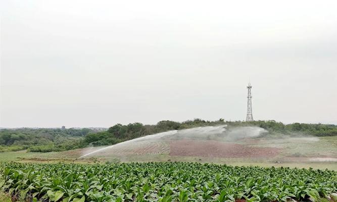 生命源烟叶农药的含义是什么？生命源烟叶农药是什么意思？