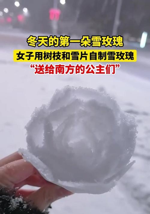 雪做的玫瑰花代表了什么含义？