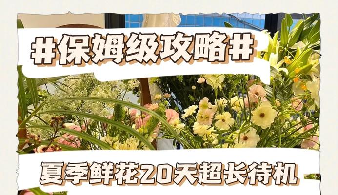 如何延长玫瑰花的花期？