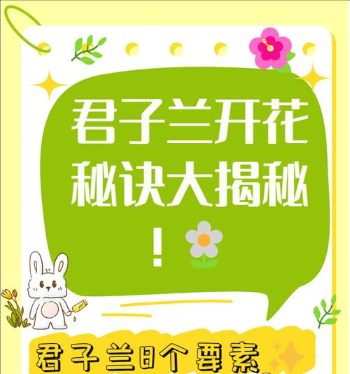 君子兰用什么促花肥料？选择肥料的技巧是什么？