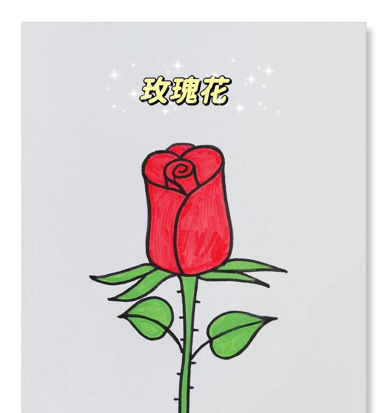 玫瑰花瓣花嘴的其他用途有哪些？如何正确使用？