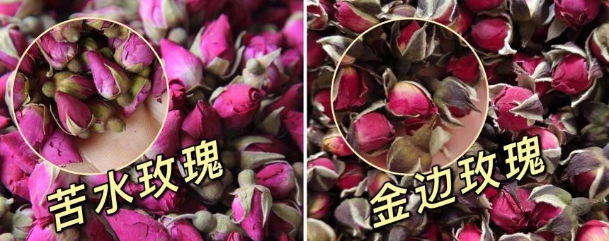 如何辨别不同品种的玫瑰花？
