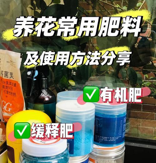 君子兰专用肥油性肥料的正确使用方法是什么？