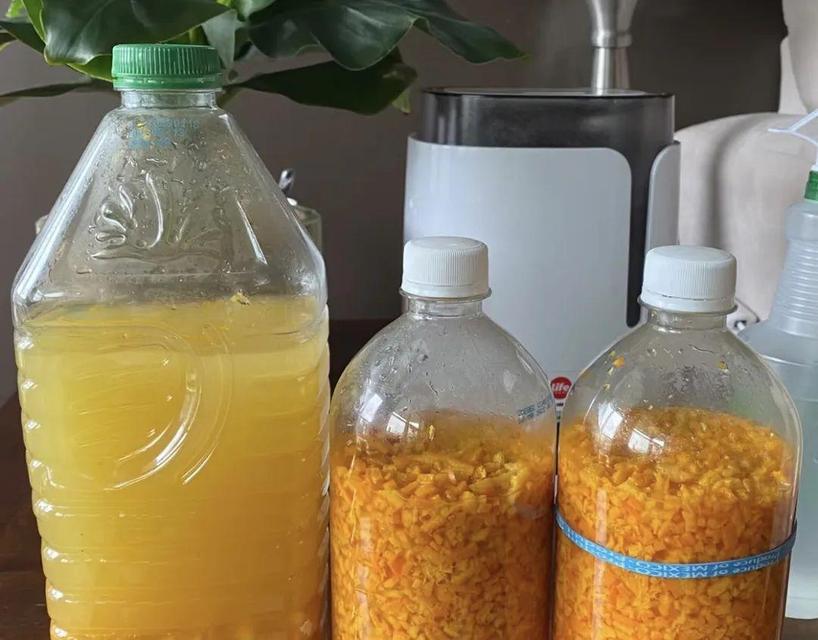 君子兰专用肥油性肥料的正确使用方法是什么？