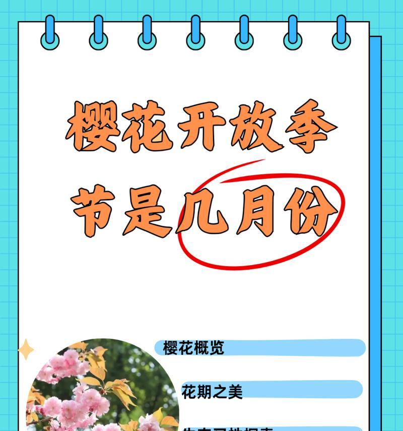 樱花的花语有哪些含义？