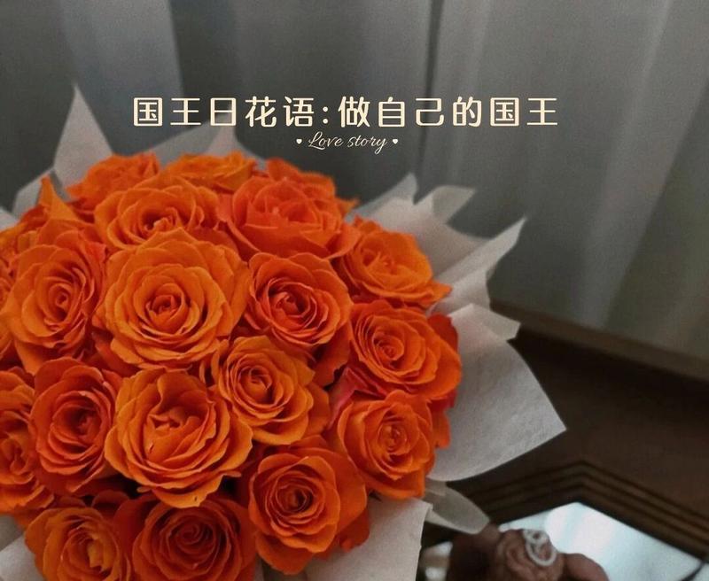 辉煌玫瑰的花语代表了什么？