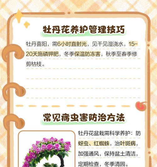 新手如何在盆里栽种牡丹花？盆栽牡丹花需要注意什么？