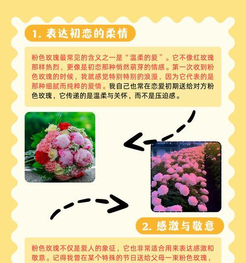 玫瑰花苞期需要注意哪些事项？