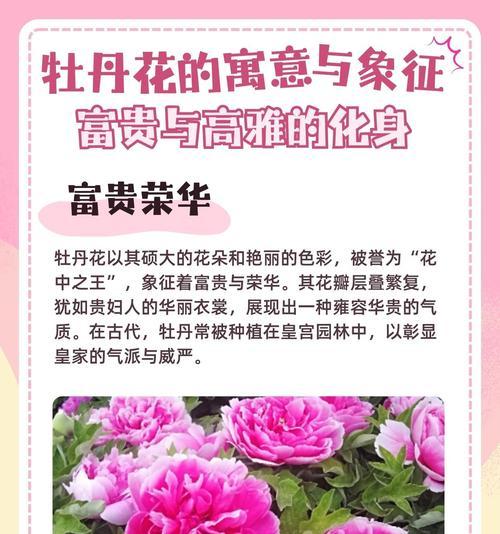 院里种植牡丹花的步骤是什么？如何确保其良好生长？