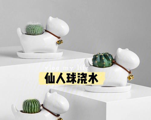 三彩仙人球的浇水技巧是什么？