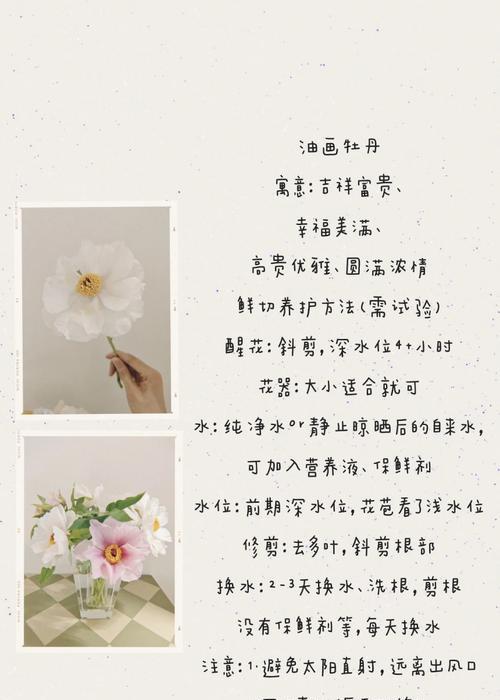 牡丹花如何包种活？怎样才能养好牡丹花？