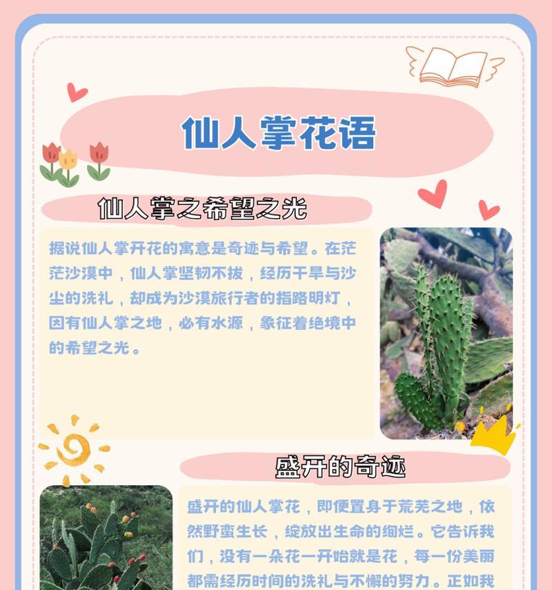 家养仙人掌不开花的解决方法是什么？
