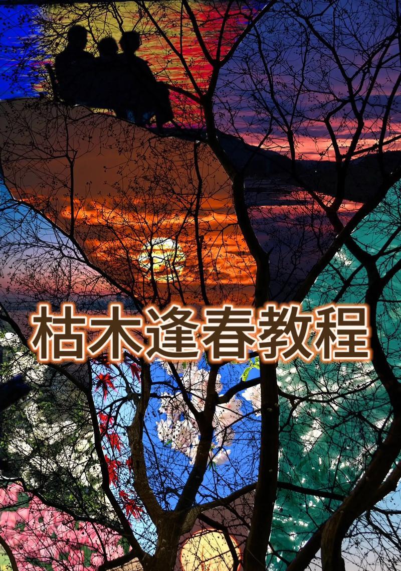 枯木梅的花语是什么？枯木梅代表了什么含义？