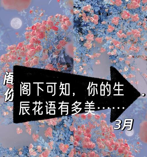 哪种花语最适合安慰女生？