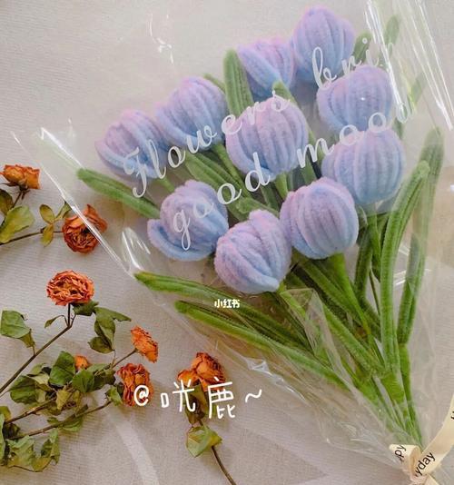 郁金香扭扭棒的花语是什么？它象征着什么？
