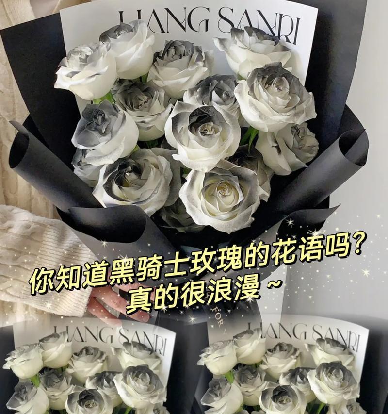 黑骑士花语代表什么？送给男朋友合适吗？