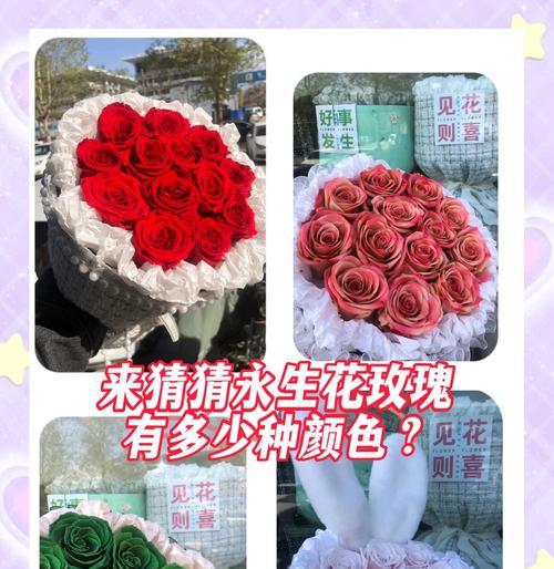 半白半玫瑰红的花语是什么意思？