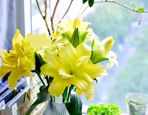 洒脱的百合花语有何深意？