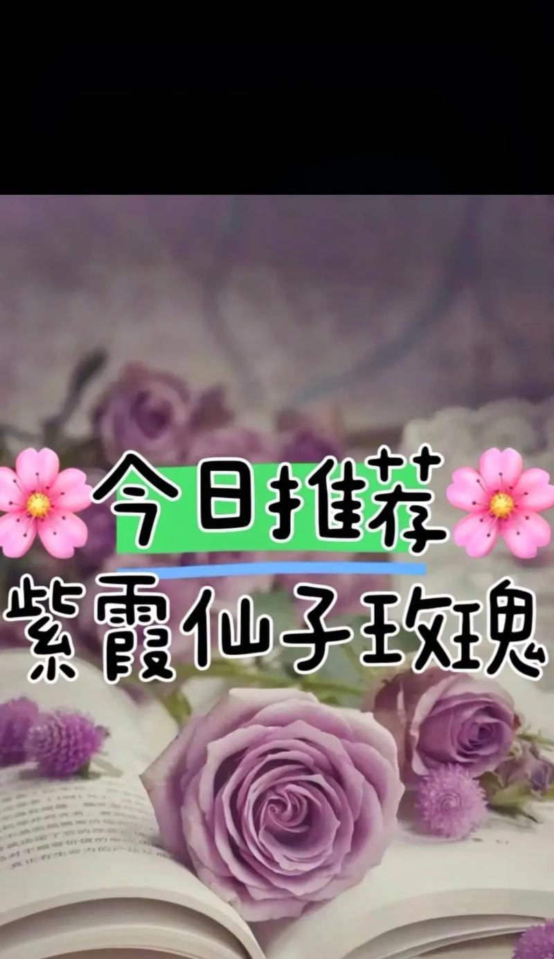 康来音的花语是什么？它有哪些特别的含义？