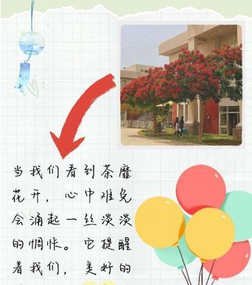 耗尽所有绽放的花语代表了什么？它有什么寓意？