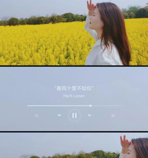 春风十里礼盒的花语有何含义？
