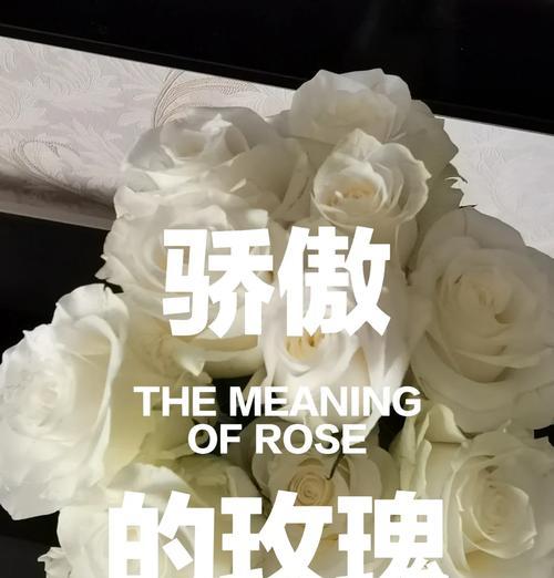 哪种花的花语代表不自爱？不自爱的花语有哪些？