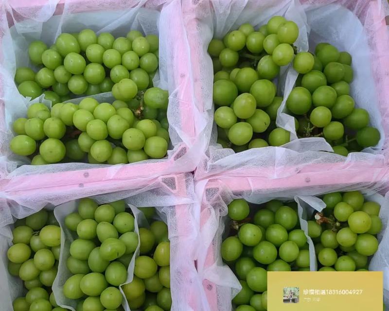 一箱玫瑰花的含义是什么？