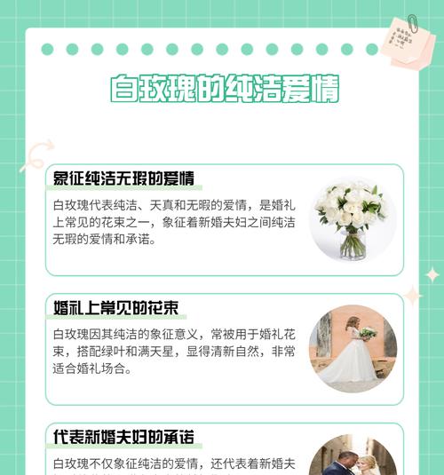 白玫瑰和柑橘花语有何不同？它们各自代表什么？