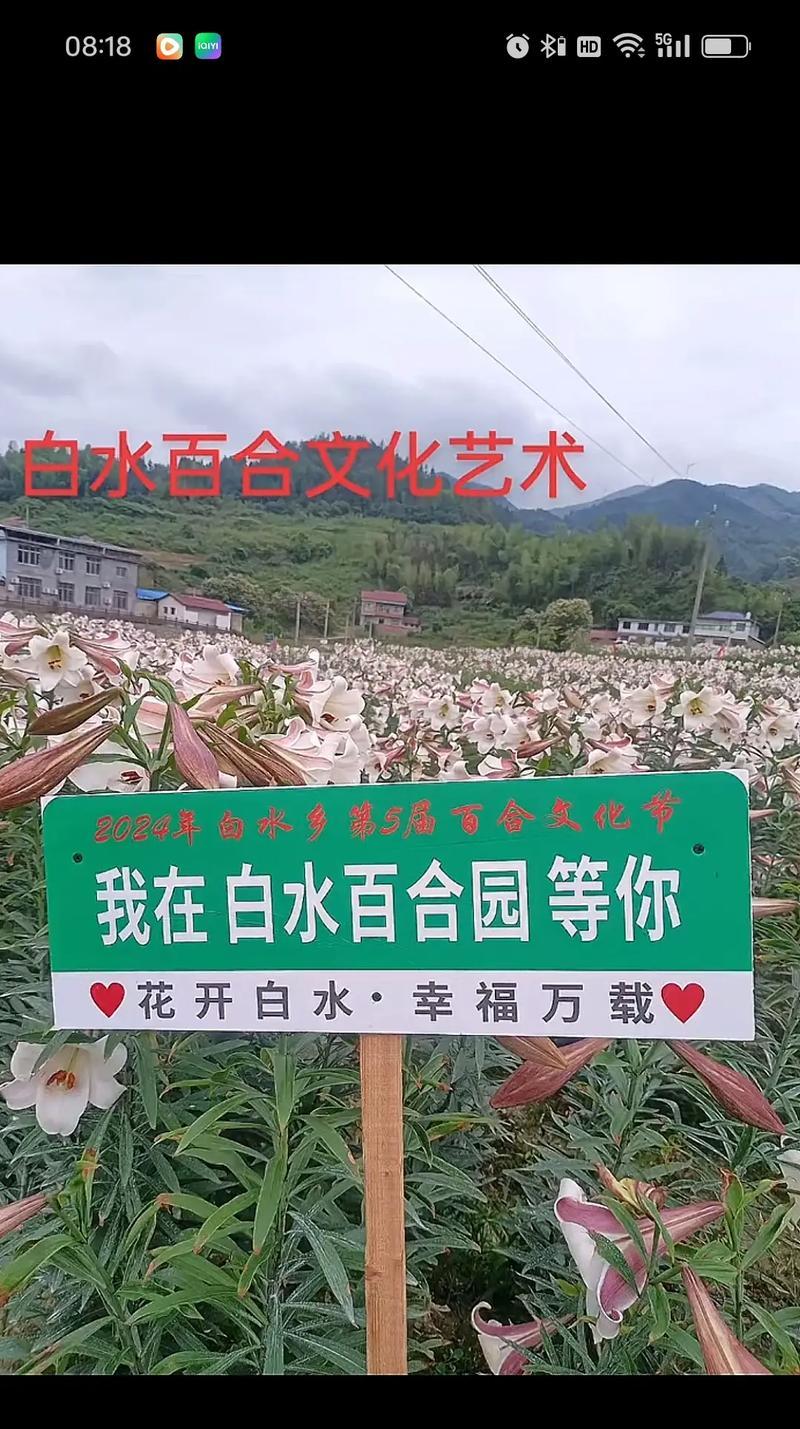 朋友们的花语代表什么？朋友们花语的含义是什么？