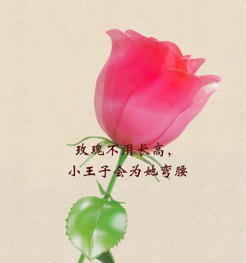 哪种花的花语与味道相关？