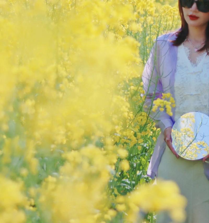 瓦屋油菜花的花语有何含义？