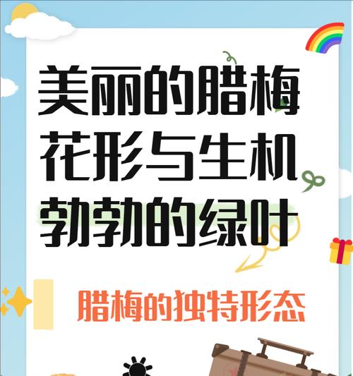 腊梅的花语及其象征意义是什么？