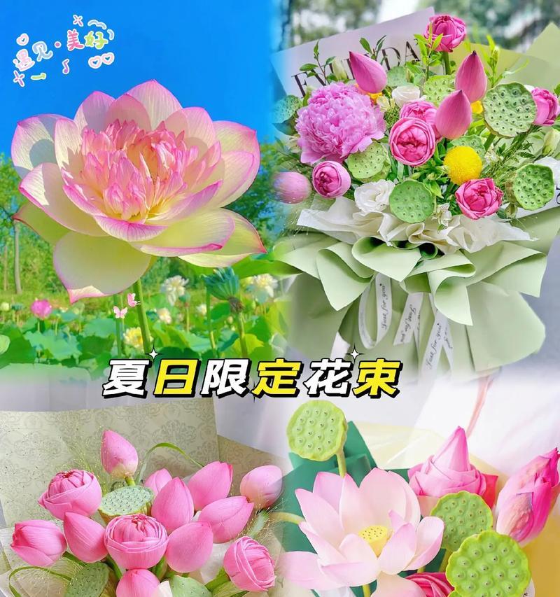 送老师荷花的花语有何深意？