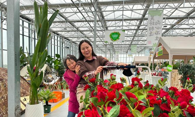 花卉市场的未来趋势如何？投资花卉市场需要注意什么？