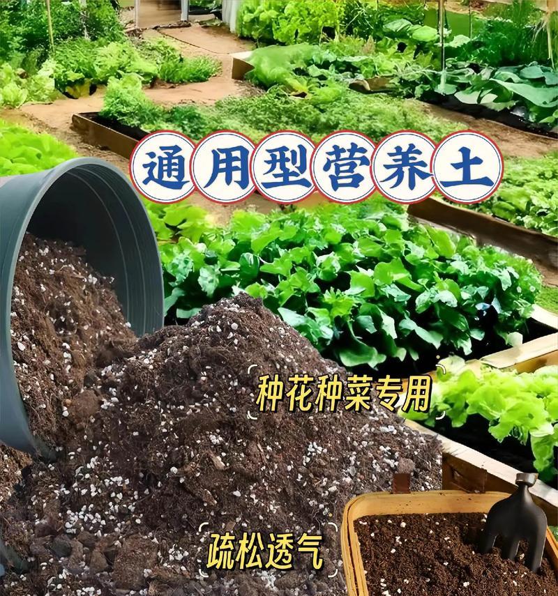 花盆种花用什么土？如何选择适合的土壤？