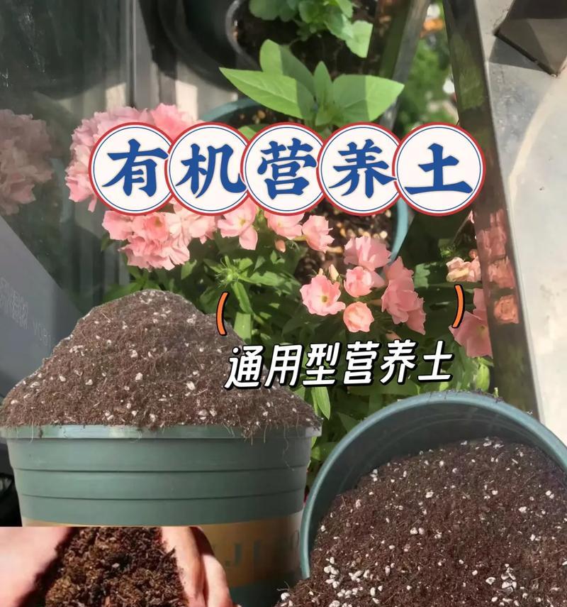 营养土怎么配制？适合不同植物的土壤配方是什么？